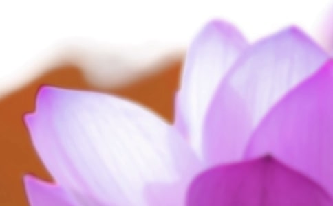 (經(jīng)典)夏至的經(jīng)典句子