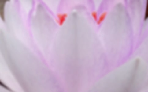 �����Ľ�(j��ng)�����