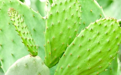 �P(gu��n)����������ӛ���ąR��6ƪ