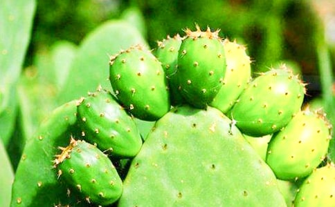 ���������ġ����T��