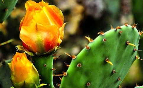 ����������(��(j��ng)��15ƪ)