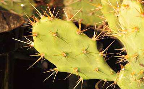 ���������ġ����]��