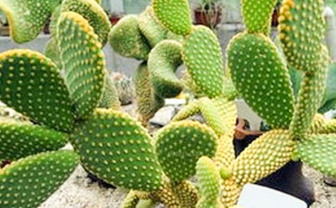 ���꼉������־����������