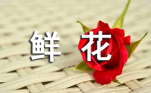 26《一束鮮花》