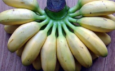 ��ϲ�g���㽶����