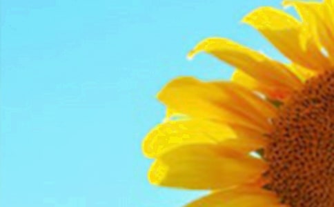 ���տ�����[�]]