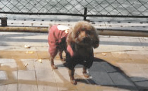 �������ɐ�(��i)��С��С�W(xu��)����