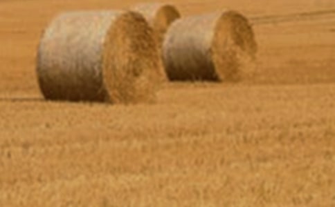 **�h���Ҵ��̓�(y��u)�|(zh��)С�����ؽ��O(sh��)�(xi��ng)Ŀ��r