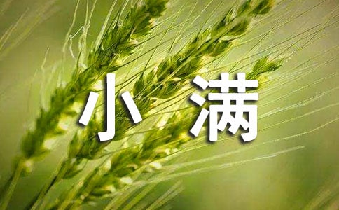 關(guān)于節(jié)氣小滿的句子