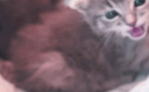 �茑С؈�ĺ��~�þ�