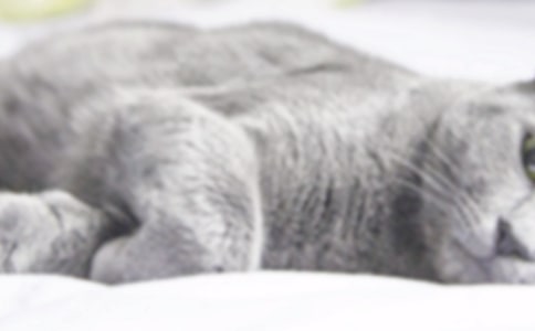 �����]��С؈������4ƪ