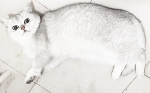 �P(gu��n)��С؈������