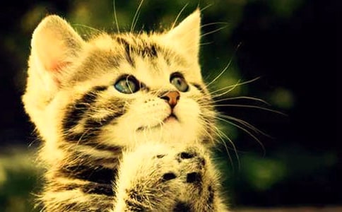 ��ϲ�gС؈С�W(xu��)������