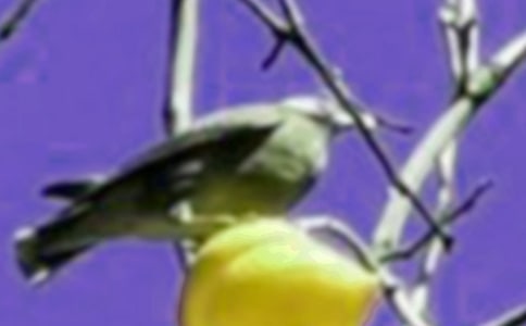 С�W(xu��)���g(sh��)��С�B�ļҡ��̰�