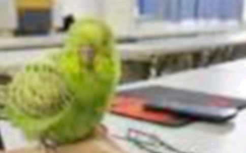 С�B��������(y��u)������