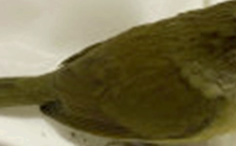 С�����g�̰���С�B�ؼҡ�