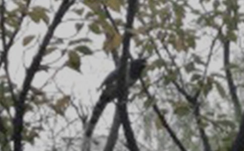 �����x��С�B���ĺϼ�5ƪ