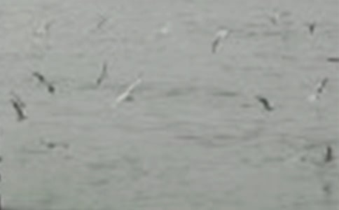 С�����g(sh��)�̰�С�B�ؼ�