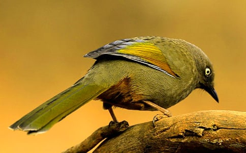 ��(sh��)�õĿ옷(l��)��С�B(ni��o)����4ƪ