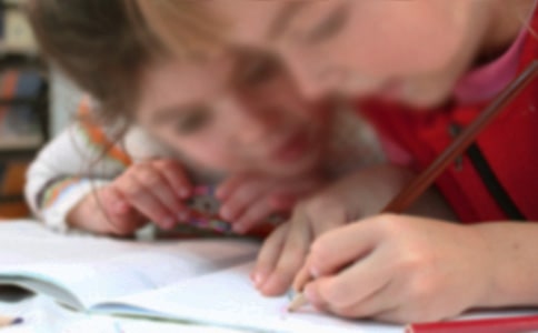 實用的小學(xué)生的作文