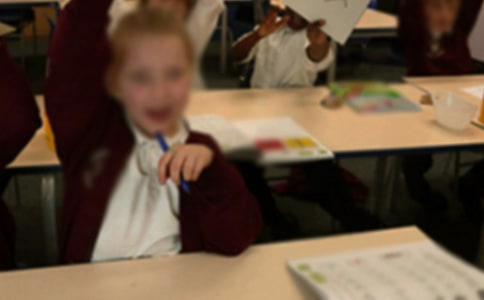 小學(xué)生的作文