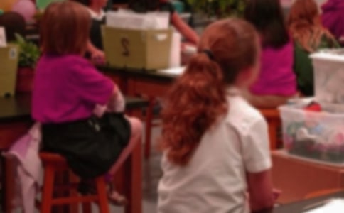 【精選】小學(xué)生的生活作文