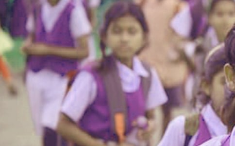 小學(xué)生的作文300字