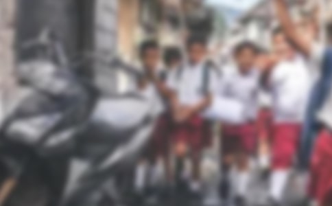 我是小學生作文