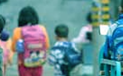 小學(xué)生的作文