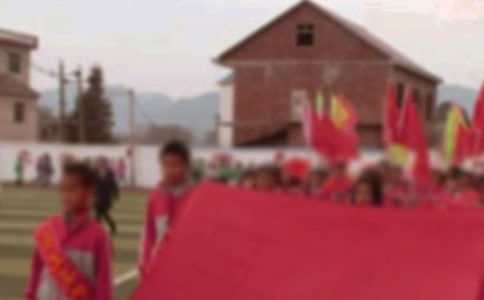 關(guān)于小學(xué)運(yùn)動會作文合集8篇