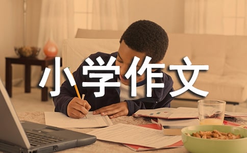 推薦一本好書小學(xué)作文