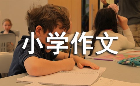 �ҵ����ֺÑ�С�W(xu��)����