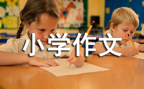 寫小學作文