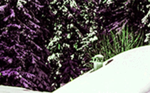 �а�������(y��u)��̰���Сѩ��������˼