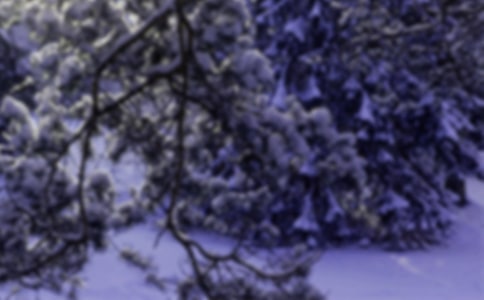 �׃��@�а�����(l��)���_(k��i)�n�̰���Сѩ��������˼