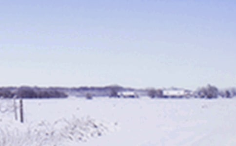 Сѩ��(ji��)������