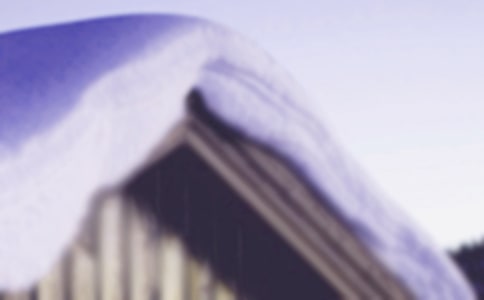 �а�������(y��u)��̰���Сѩ����