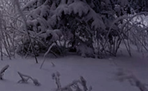 小雪花教案大班音樂教案