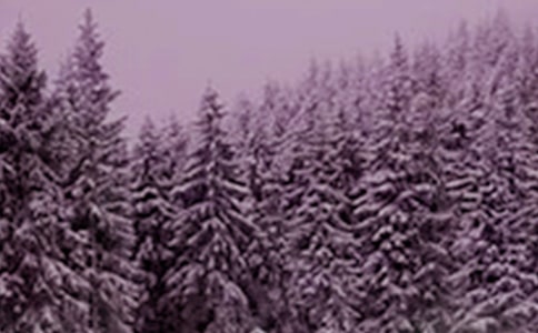 �׃��@����(l��)�Ʉ�(d��ng)Сѩ���̰�