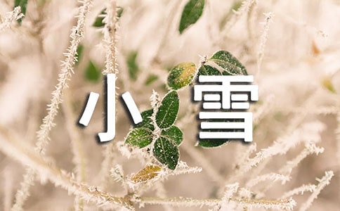 小雪的故事作文(通用25篇)