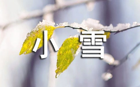 幼兒園大班音樂教案:快樂的小雪花