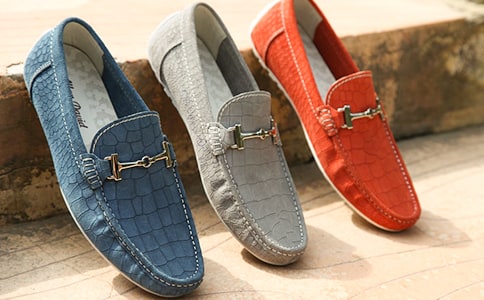 鞋子里的愛作文