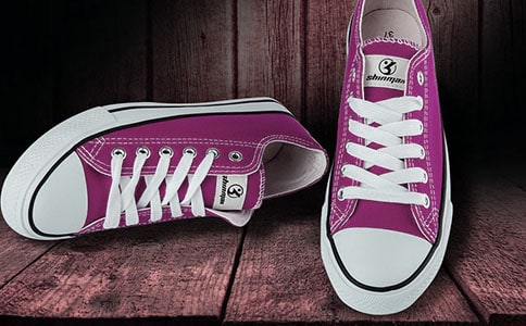 未來的鞋子作文精選15篇