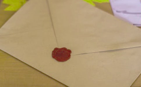 ��ʮ��ֻ�հ׵��ŷ�