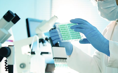 ��(j��ng)��ȫ�򻯺ͮ����a(ch��n)�I(y��)�Y(ji��)��(g��u)�о�����ҕ��