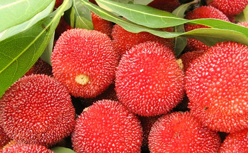 ���Ґ۹��l(xi��ng)�ė�÷���̌W��˼