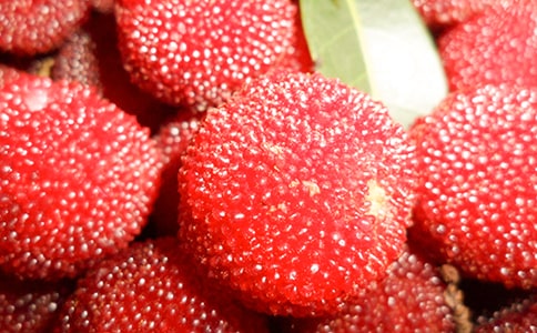 �P(gu��n)�ڗ�÷������