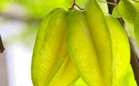 23����(hu��)���ҡ�