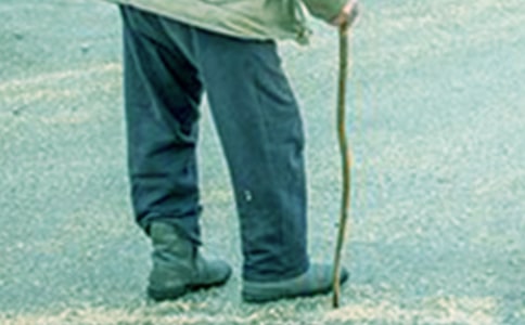 �ҵĠ�����������