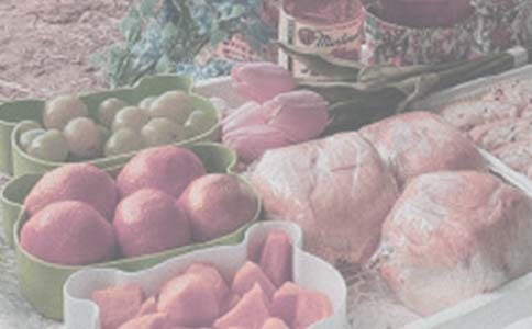 小學(xué)生野餐作文匯編5篇